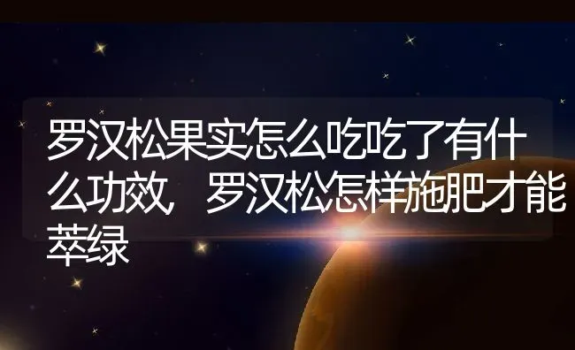 罗汉松果实怎么吃吃了有什么功效,罗汉松怎样施肥才能萃绿 | 养殖学堂