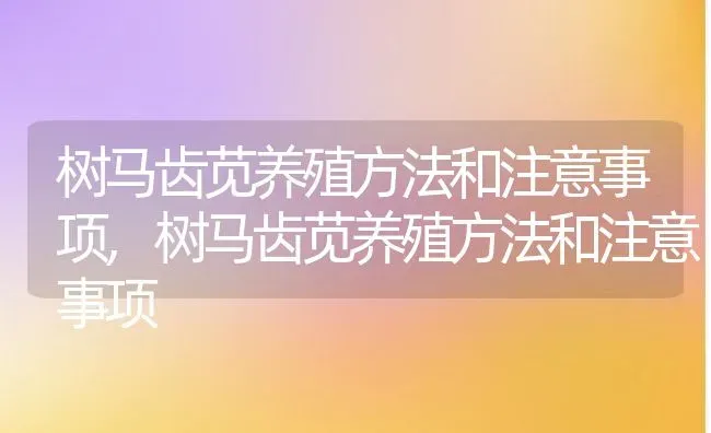 树马齿苋养殖方法和注意事项,树马齿苋养殖方法和注意事项 | 养殖科普