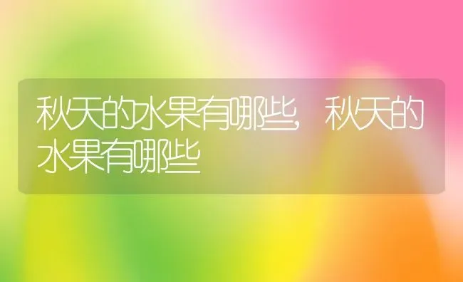 佛兰德斯的狗,佛兰德斯的狗小说 | 养殖科普