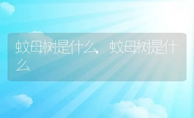 潘东子的故事简介,小游击队故事梗概？ | 养殖科普
