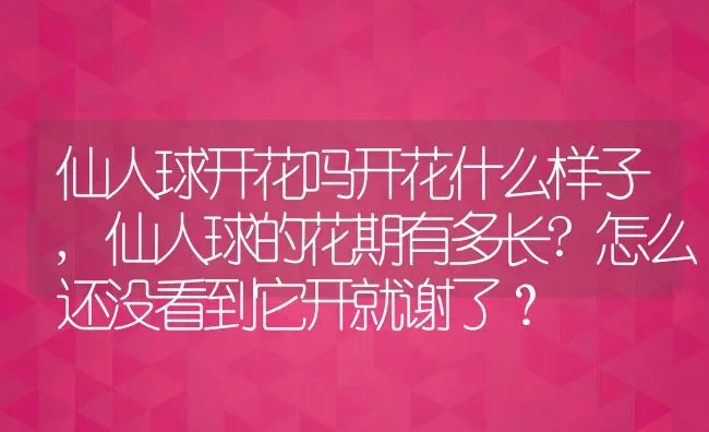 仙人球开花吗开花什么样子,仙人球的花期有多长?怎么还没看到它开就谢了？ | 养殖科普