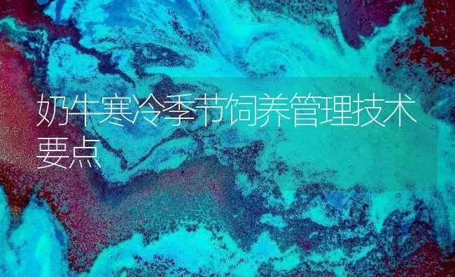 奶牛寒冷季节饲养管理技术要点 | 养殖技术大全