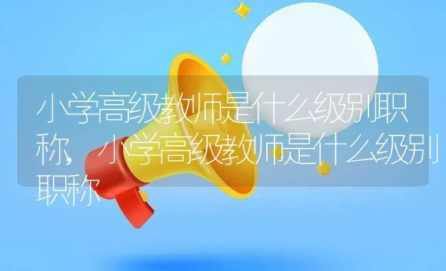 小学高级教师是什么级别职称,小学高级教师是什么级别职称 | 养殖科普
