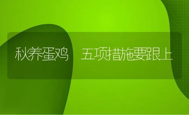 肉牛养殖消毒的关键是什么? | 养殖技术大全