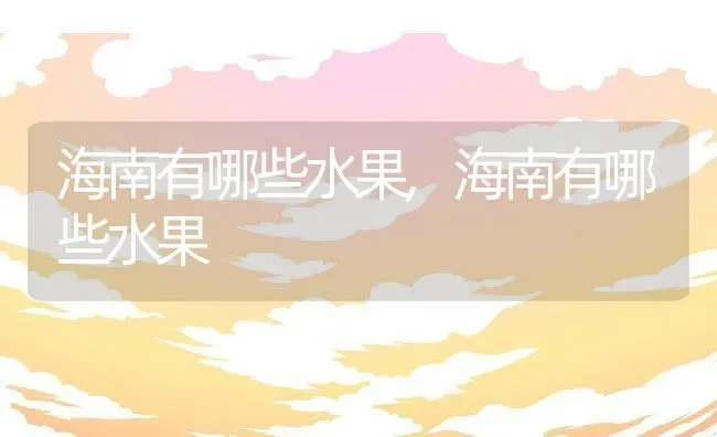 海南有哪些水果,海南有哪些水果 | 养殖科普