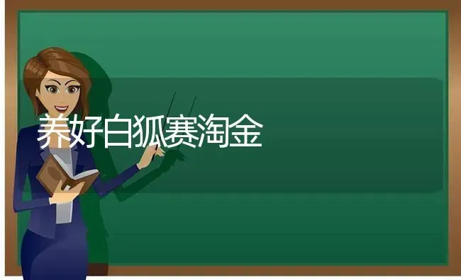 养好白狐赛淘金 | 养殖技术大全
