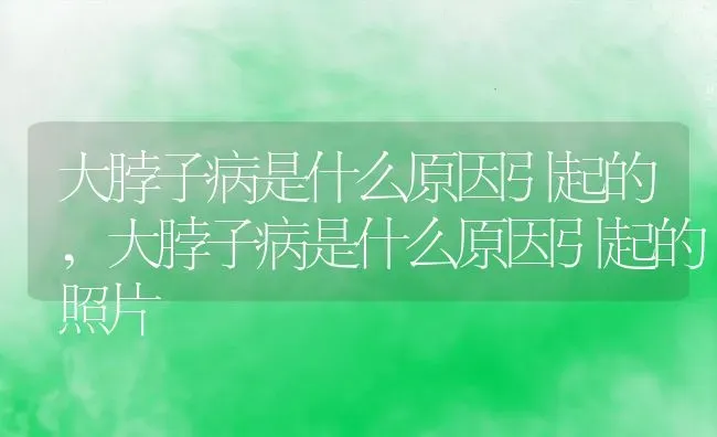 大脖子病是什么原因引起的,大脖子病是什么原因引起的照片 | 养殖科普