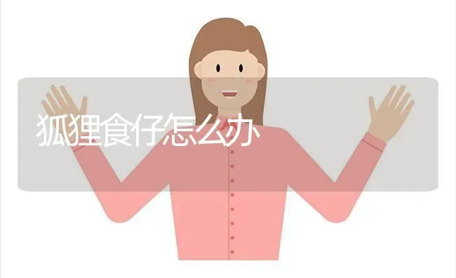 狐狸食仔怎么办 | 养殖知识
