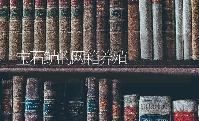 宝石鲈的网箱养殖 | 养殖知识