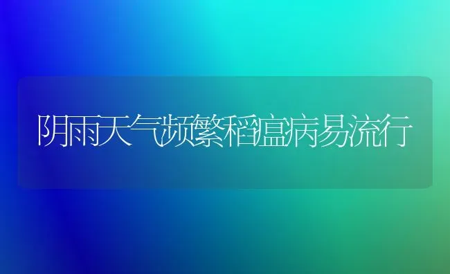 阴雨天气频繁稻瘟病易流行 | 养殖技术大全