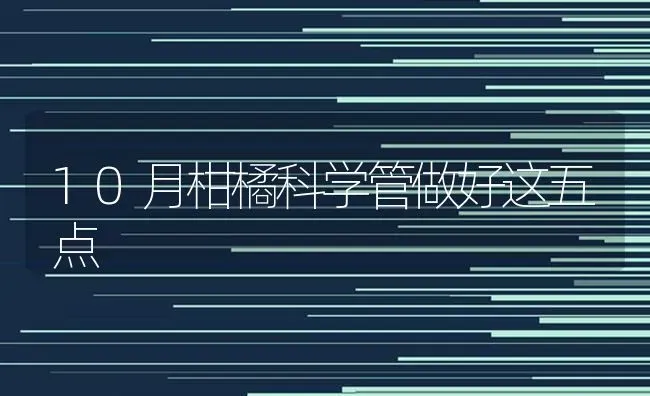 10月柑橘科学管做好这五点 | 养殖技术大全