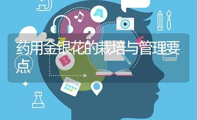 药用金银花的栽培与管理要点 | 养殖技术大全