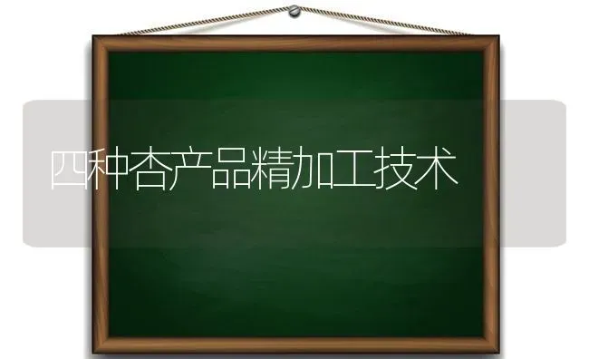 四种杏产品精加工技术 | 养殖技术大全