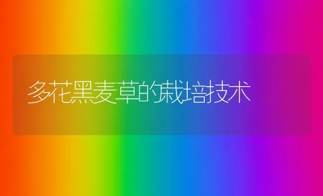 农田改种茶树四注意 | 养殖技术大全