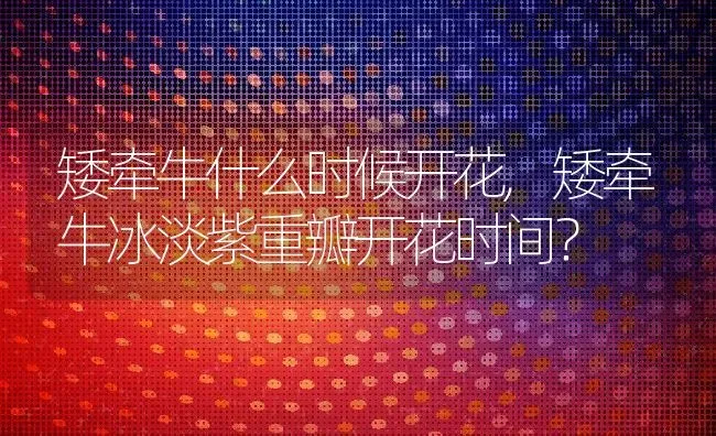 矮牵牛什么时候开花,矮牵牛冰淡紫重瓣开花时间？ | 养殖科普