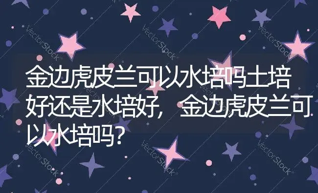 金边虎皮兰可以水培吗土培好还是水培好,金边虎皮兰可以水培吗？ | 养殖科普