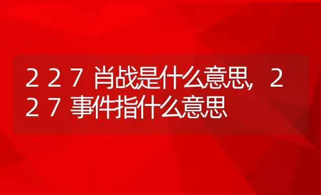 227肖战是什么意思,227事件指什么意思 | 养殖学堂