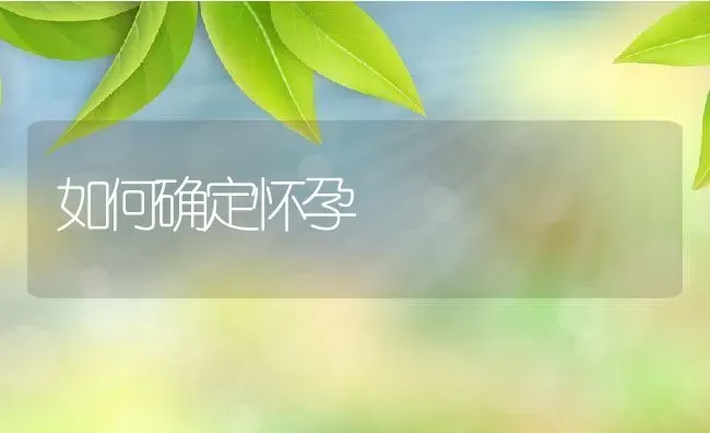 如何确定怀孕 | 养殖资料