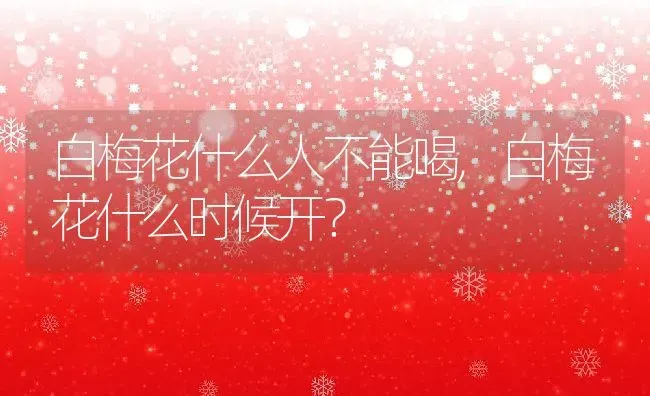 白梅花什么人不能喝,白梅花什么时候开？ | 养殖学堂