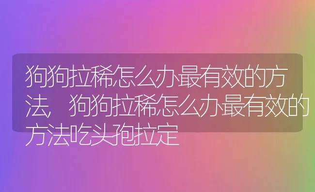 狗狗拉稀怎么办最有效的方法,狗狗拉稀怎么办最有效的方法吃头孢拉定 | 养殖科普