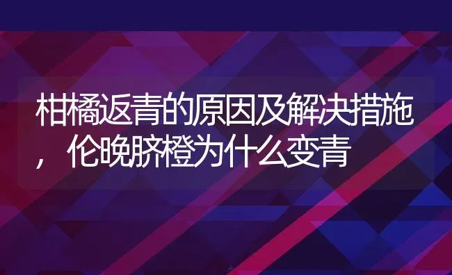 柑橘返青的原因及解决措施,伦晚脐橙为什么变青 | 养殖学堂