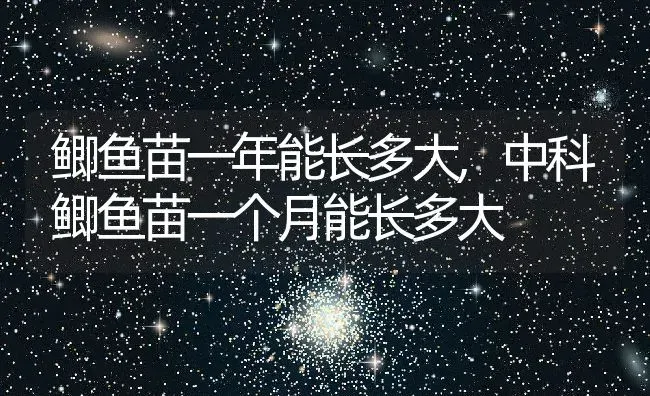 鲫鱼苗一年能长多大,中科鲫鱼苗一个月能长多大 | 养殖学堂