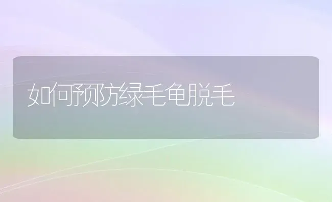 如何预防绿毛龟脱毛 | 养殖技术大全