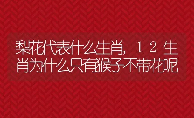 梨花代表什么生肖,12生肖为什么只有猴子不带花呢 | 养殖学堂