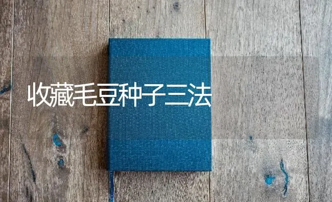 收藏毛豆种子三法 | 养殖知识