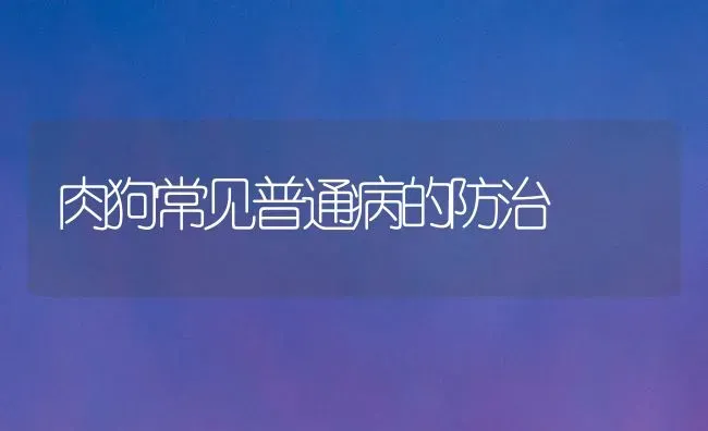 肉狗常见普通病的防治 | 养殖知识