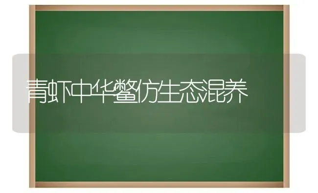 青虾中华鳖仿生态混养 | 养殖知识