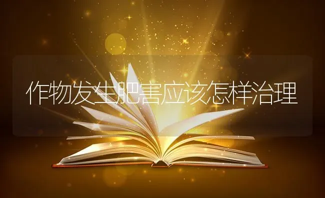 作物发生肥害应该怎样治理 | 养殖技术大全