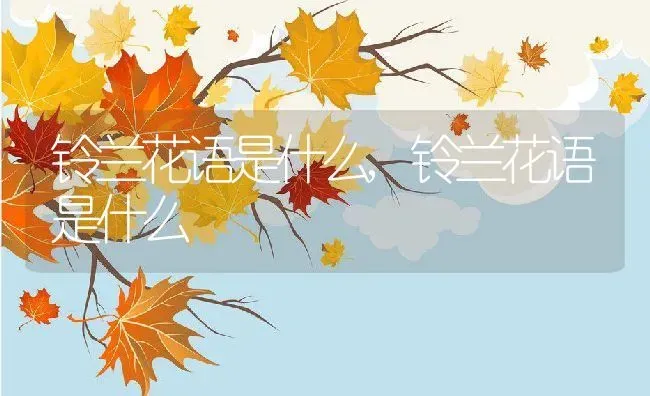 铃兰花语是什么,铃兰花语是什么 | 养殖科普