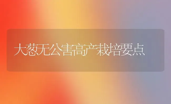 大葱无公害高产栽培要点 | 养殖知识