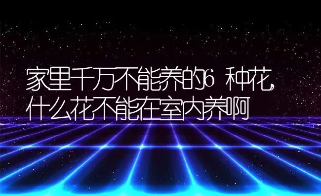 家里千万不能养的6种花,什么花不能在室内养啊 | 养殖学堂