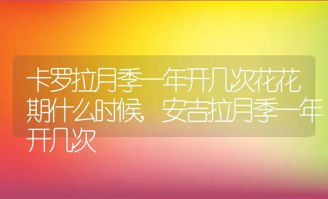 卡罗拉月季一年开几次花花期什么时候,安吉拉月季一年开几次 | 养殖学堂