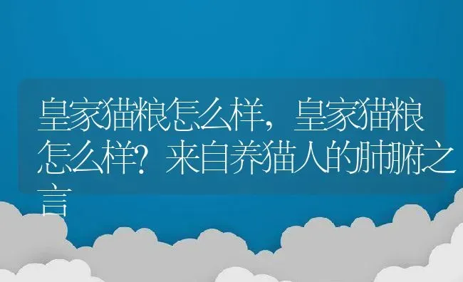 皇家猫粮怎么样,皇家猫粮怎么样?来自养猫人的肺腑之言 | 养殖科普