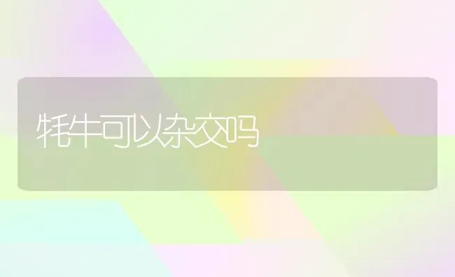 牦牛可以杂交吗 | 养殖技术大全