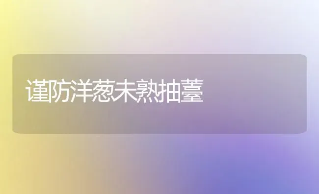 谨防洋葱未熟抽薹 | 养殖技术大全