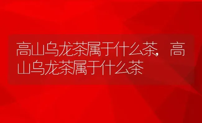 高山乌龙茶属于什么茶,高山乌龙茶属于什么茶 | 养殖科普