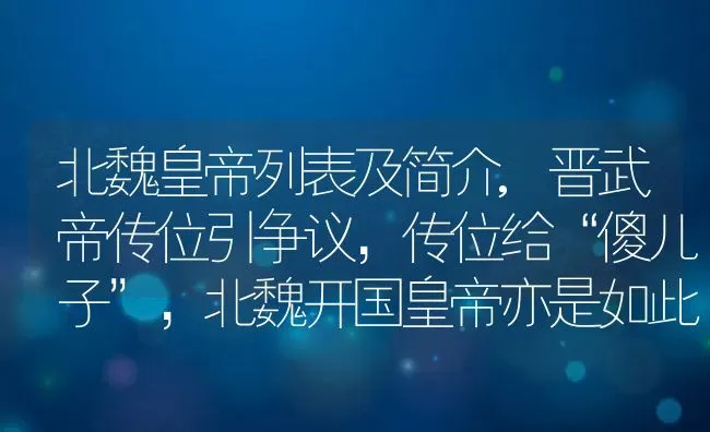 北魏皇帝列表及简介,晋武帝传位引争议，传位给“傻儿子”，北魏开国皇帝亦是如此吗 | 养殖学堂
