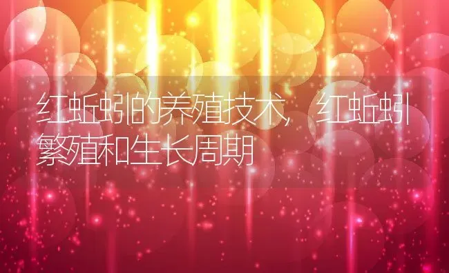 红蚯蚓的养殖技术,红蚯蚓繁殖和生长周期 | 养殖学堂