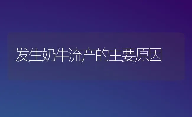 发生奶牛流产的主要原因 | 养殖知识