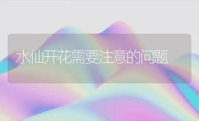 水仙开花需要注意的问题 | 养殖知识