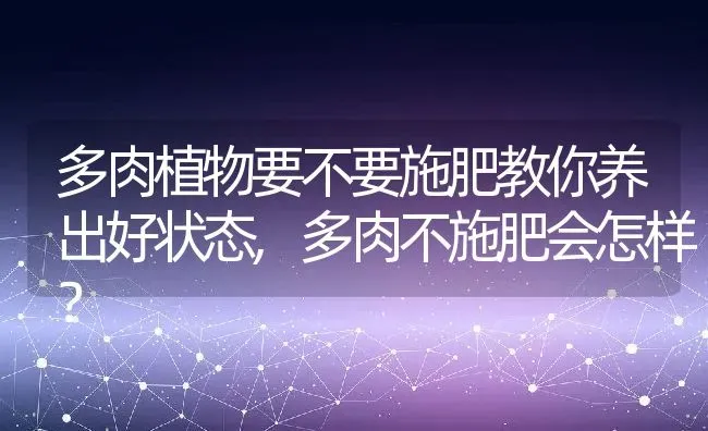 多肉植物要不要施肥教你养出好状态,多肉不施肥会怎样？ | 养殖科普