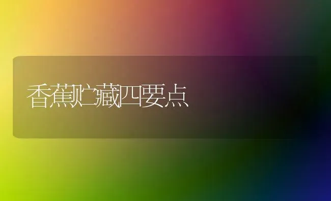 香蕉贮藏四要点 | 养殖技术大全