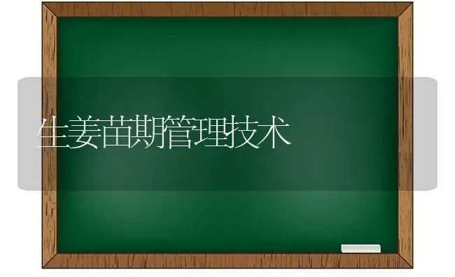 生姜苗期管理技术 | 养殖技术大全