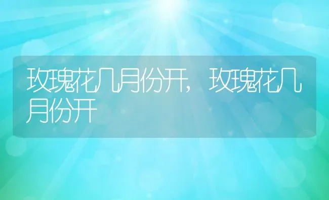 玫瑰花几月份开,玫瑰花几月份开 | 养殖科普