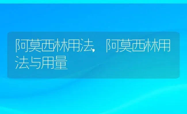 阿莫西林用法,阿莫西林用法与用量 | 养殖科普