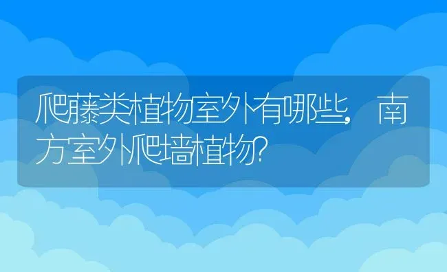 爬藤类植物室外有哪些,南方室外爬墙植物？ | 养殖科普